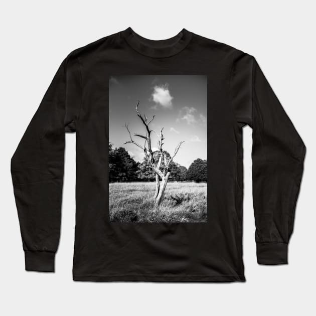 Lone Dead Tree Long Sleeve T-Shirt by shaymurphy